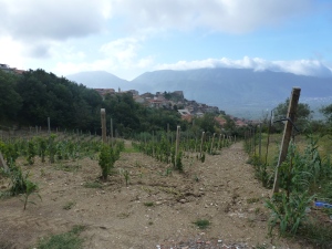 A view towards Monte Taburno.